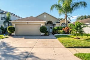 8117 Tar Hollow Dr, GIBSONTON 8117 Tar Hollow Dr, GIBSONTON