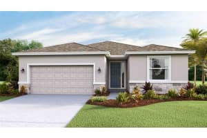 10807 Manawa Ter, PARRISH