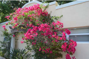 1757 Hillview St #5, SARASOTA