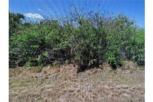 343 Flynn St, PORT CHARLOTTE