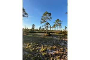 0 Seagrape Ave, EUSTIS