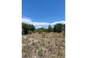 1701 Cabbage Wood Rd, OKEECHOBEE 1701 Cabbage Wood Rd, OKEECHOBEE