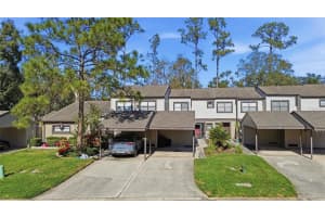 405 Woods Landing Trl, OLDSMAR