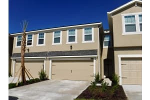 11634 Cambium Crown Dr, RIVERVIEW