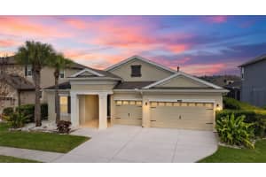 21813 Briske Morning Ave, LAND O LAKES 21813 Briske Morning Ave, LAND O LAKES