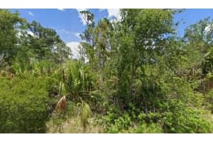 1484 Moree St, PORT CHARLOTTE 1484 Moree St, PORT CHARLOTTE