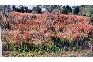 Jaylene Rd, NORTH PORT