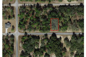 1451 W Dolores Dr, CITRUS SPRINGS