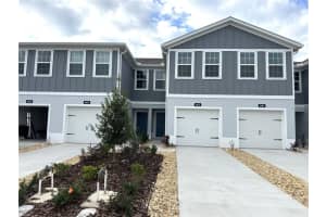 4612 Old Blush St, LAKEWOOD RANCH