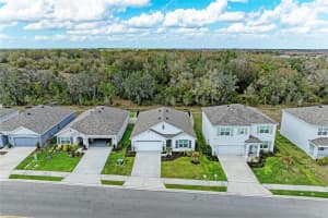 17250 Wheatberry Blvd, PARRISH