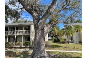 2224 Bahia Vista St #e6, SARASOTA