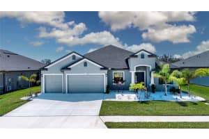 12623 Wheatgrass Ct, PARRISH