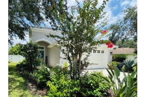 15207 Searobbin Dr, LAKEWOOD RANCH 15207 Searobbin Dr, LAKEWOOD RANCH