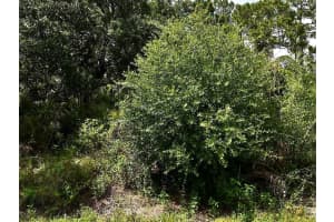 Lot 16 Rentscher Ave, NORTH PORT Lot 16 Rentscher Ave, NORTH PORT