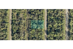 1125230813 Annatto St, NORTH PORT