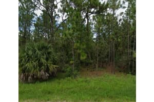 0 Highgrove Rd, SPRING HILL