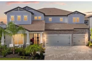 13859 Sharp Hawk Dr, RIVERVIEW 13859 Sharp Hawk Dr, RIVERVIEW