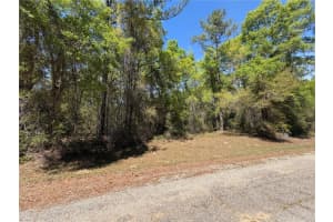 8512 N Escobar Rd, DUNNELLON