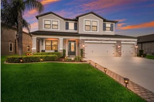 11435 Leland Groves Dr, RIVERVIEW