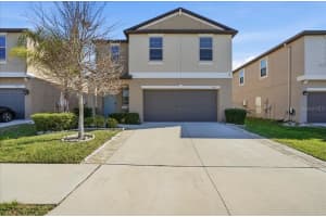 9513 Channing Hill Dr, SUN CITY CENTER