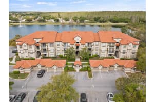 18106 Peregrines Perch Pl #5104, LUTZ