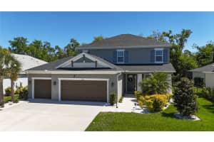 6017 Maidenstone Way, PALMETTO