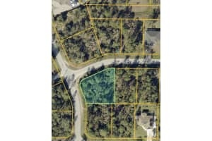 Montcalm Ave, NORTH PORT