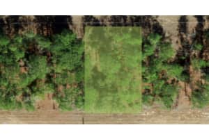 554 W Glenhaven Dr, CITRUS SPRINGS