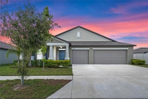 1555 Colding Dr, RUSKIN