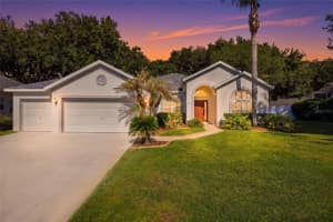 3205 Partridge Point Trl, VALRICO