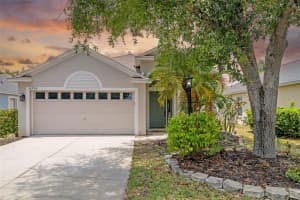 6226 Blueflower Ct, LAKEWOOD RANCH