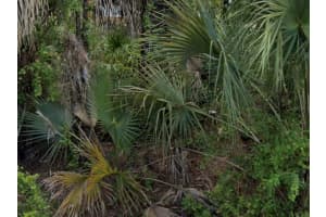 7879 Grafton Rd, NORTH PORT