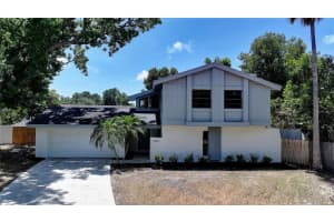 3906 Blooming Hill Ln, PALM HARBOR 3906 Blooming Hill Ln, PALM HARBOR