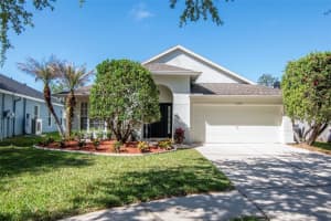 25944 Winning Colors Way, WESLEY CHAPEL