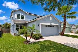 12534 Evington Point Dr, RIVERVIEW 12534 Evington Point Dr, RIVERVIEW