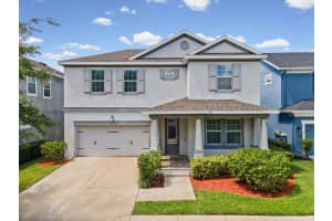 7105 Park Tree Dr, TAMPA 7105 Park Tree Dr, TAMPA