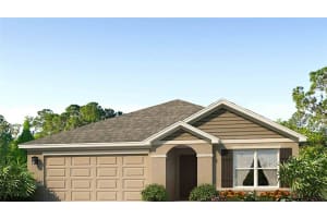 11904 Mountain Island Trl, PARRISH