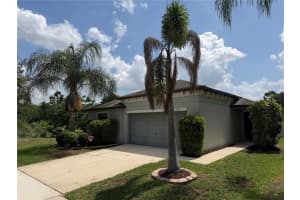 10130 Rose Petal Pl, RIVERVIEW 10130 Rose Petal Pl, RIVERVIEW