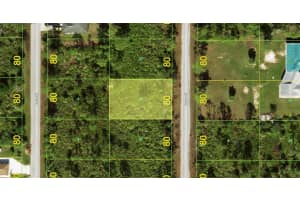 3135 Dwyer St, PORT CHARLOTTE 3135 Dwyer St, PORT CHARLOTTE