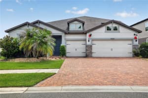 19263 Briarbrook Dr, TAMPA 19263 Briarbrook Dr, TAMPA