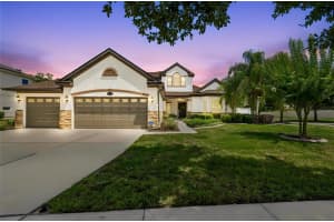 10524 Mistflower Ln, TAMPA 10524 Mistflower Ln, TAMPA