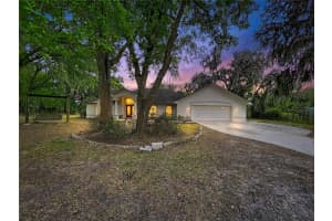 8402 Southwood Pines St, LITHIA