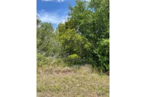 33514, 33522,33528 Washington Loop Rd, PUNTA GORDA