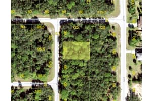 3052 Bunker Hill St, PORT CHARLOTTE