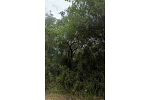 2105 Basin St, PORT CHARLOTTE