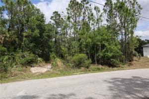 Lacoco St, NORTH PORT
