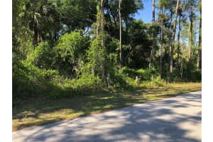Wilburn Ter, NORTH PORT