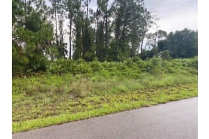 Dalewood Cir, NORTH PORT