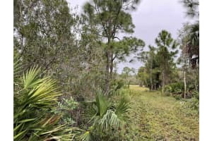 24573 Yacht Club Blvd, PUNTA GORDA