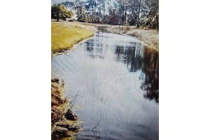 24283 Penhollow Ct, PUNTA GORDA